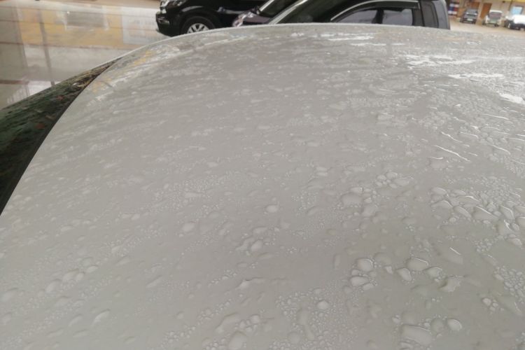 Used FORTHING S50 2024 – Operational Version