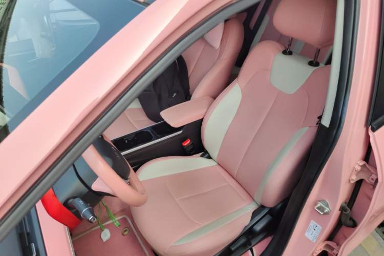 Used NETA V 2021 Witch Edition