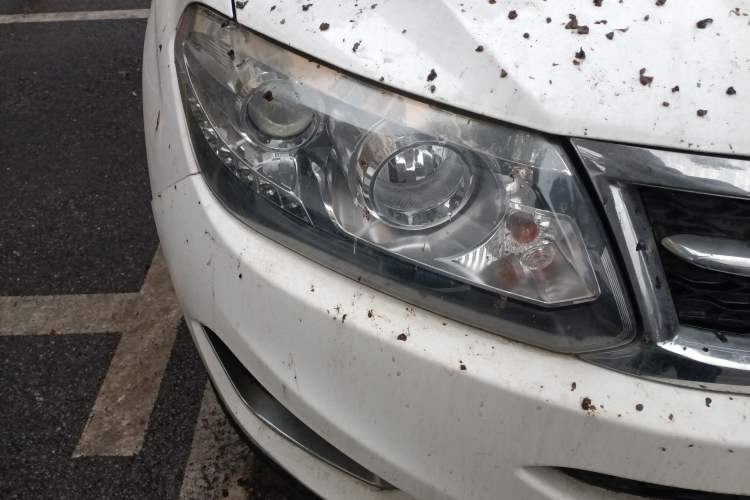 Used Chery Tiggo 5 2014 2.0L Manual Jia Yue Edition