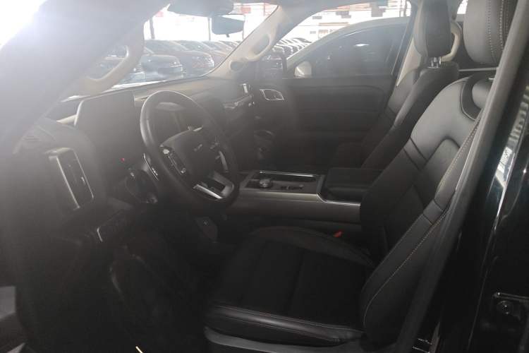 Used Haval DARGO 2024 2.0T DCT Chinese Rural Dog Edition Left Front Seat