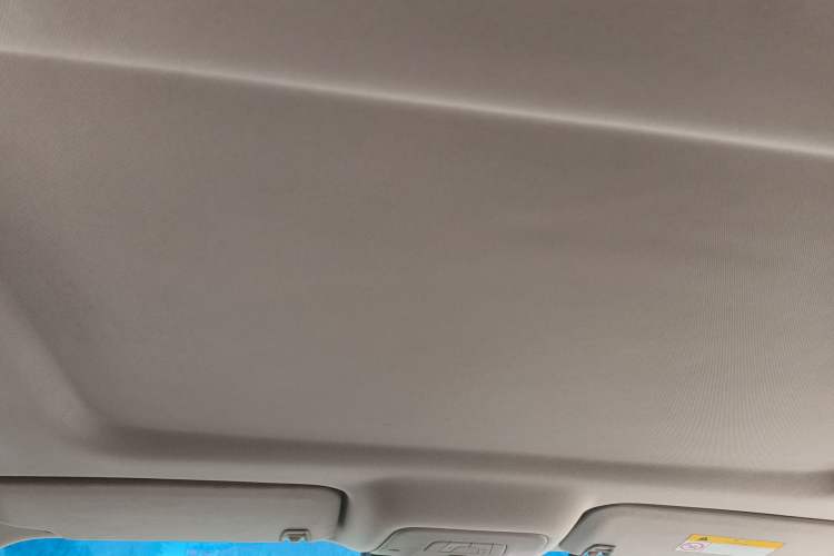 Used Buick GL8 2017 25S Comfort Version China V Standard Headliner