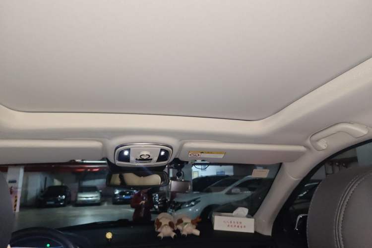 Used Haval H8 2017 2.0T Gasoline Two-Wheel Drive Smart Edition
