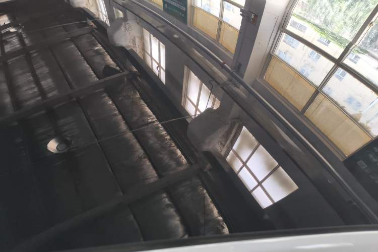 Used Tesla Model 3 2023 Rear-Wheel-Drive Version Roof