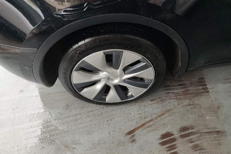 Used Tesla Model Y 2021 Standard Range Rear-Wheel Drive Version
