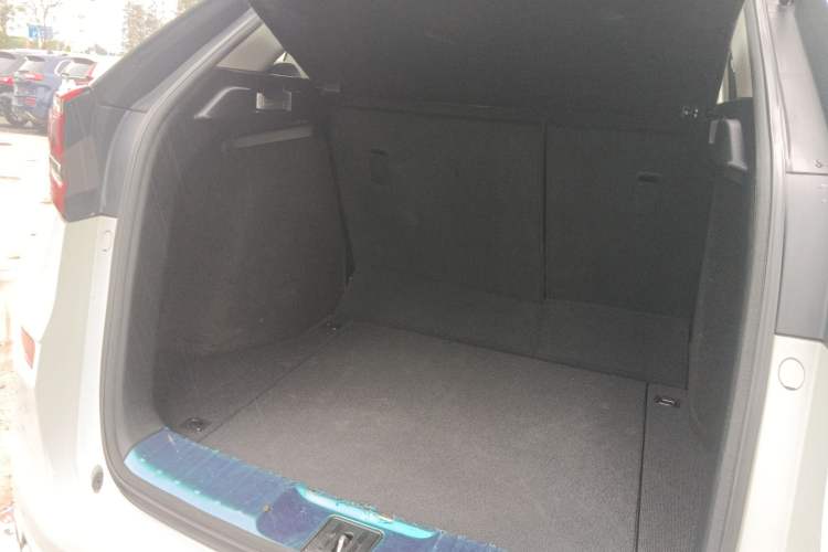 Used Honda Avancier 2020 370TURBO Two-Wheel Drive Luxury Edition
