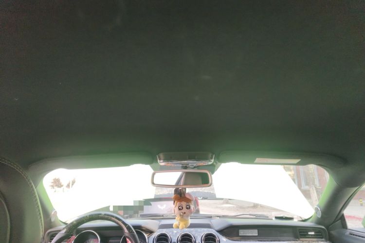 Used Ford Mustang 2017 2.3T Performance Edition Headliner