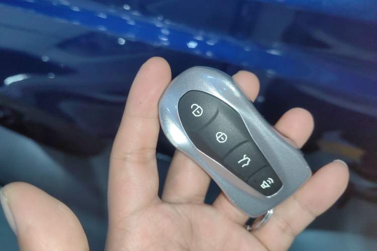 Used Geely Auto Monjaro New Energy 2021 ePro YAOXINGZHE Pure Electric Range 56 KM
