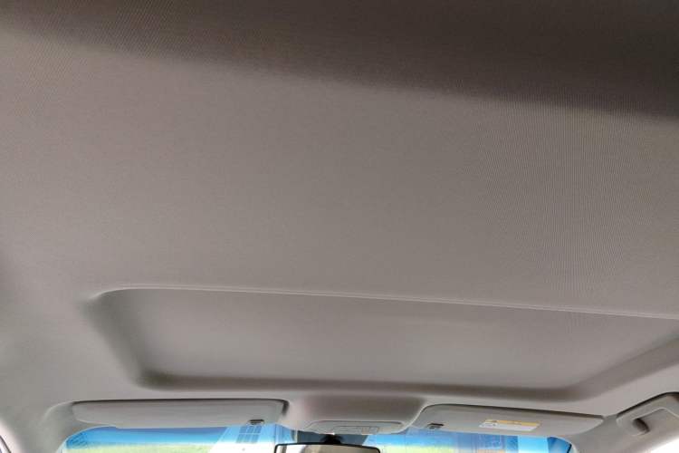 Used Buick GL8 2017 25S Comfort Version China V Standard Headliner