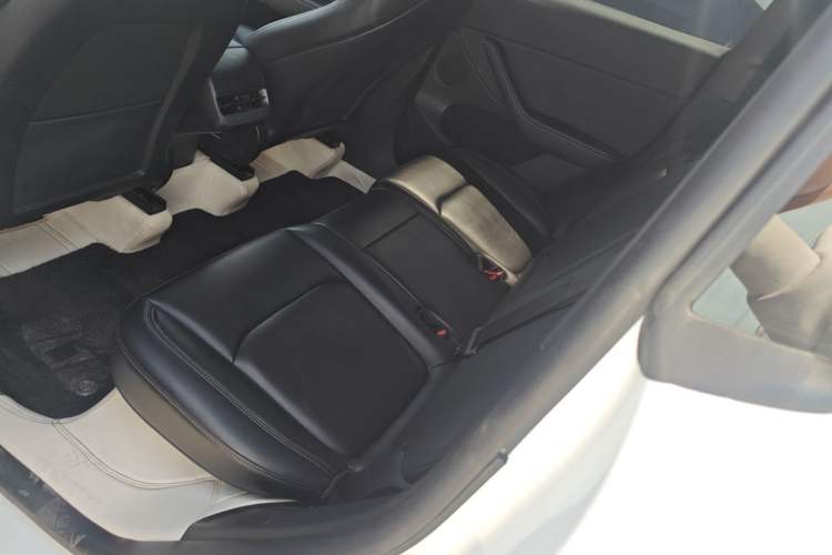 Used Tesla Model Y 2022 Revised Version Rear-Wheel Drive Left Rear Seat