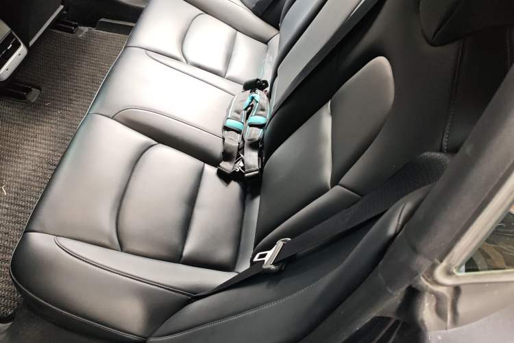 Used Tesla Model 3 2022 Rear-Wheel-Drive Version
