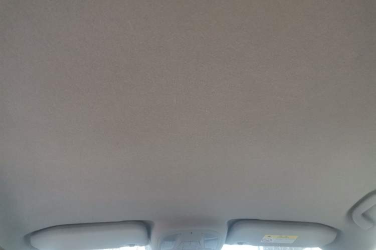 Used BYD Yuan Pro 2021 401 km Luxury Version Headliner