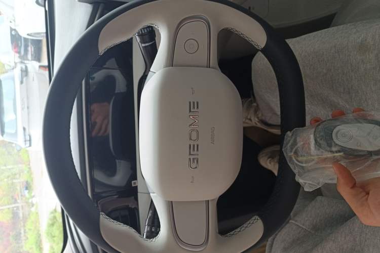 Used Geely Galaxy Geome 2025 310km Youth Edition
