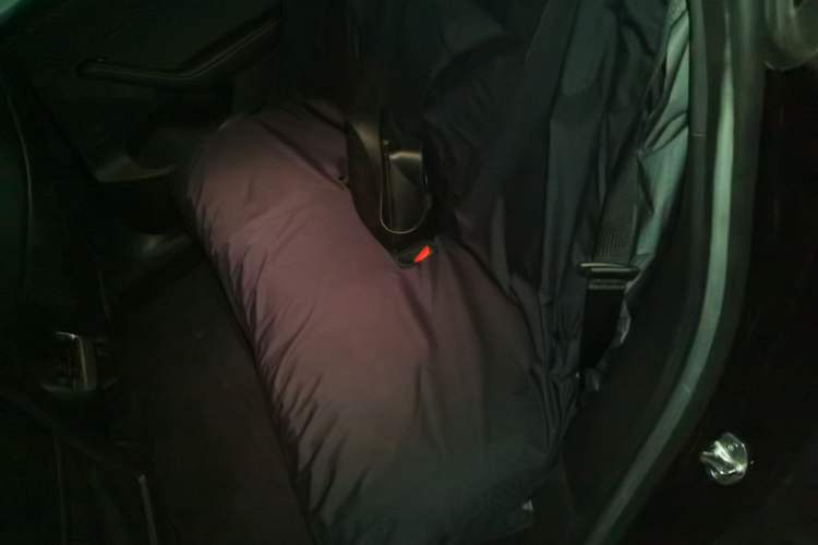 Used Tesla Model Y 2022 Rear-Wheel-Drive Version Left Rear Seat