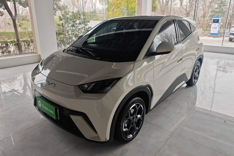 Used BYD Seagull 2025 405 km Flying Edition