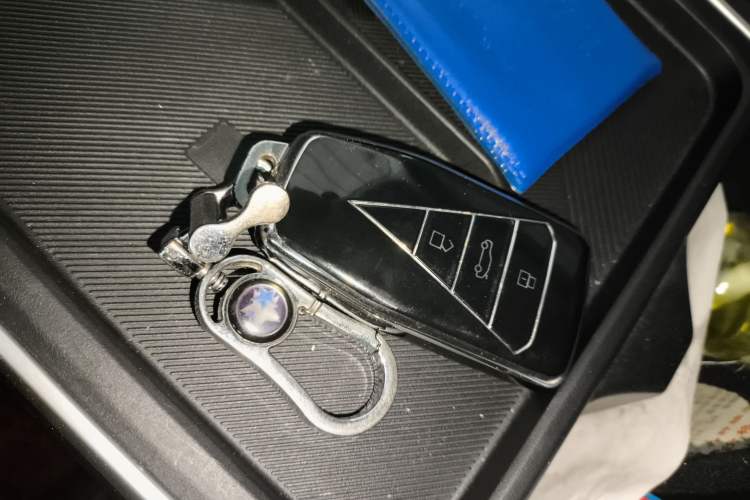 Used Venucia VX6 2024 450 Travel Edition
