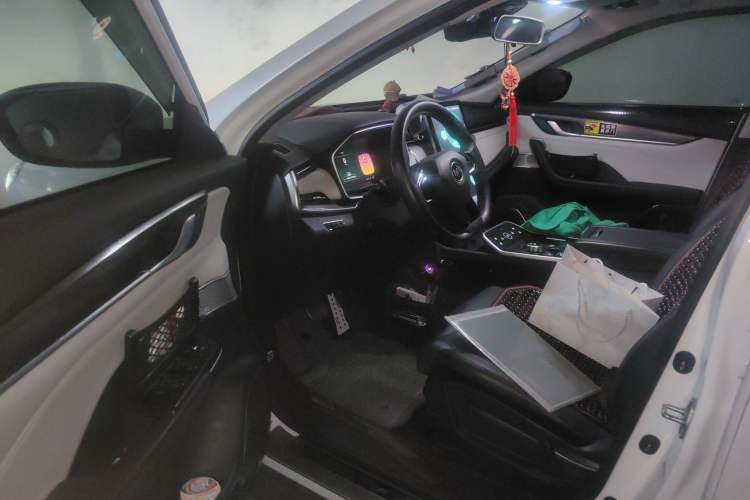 Used WM Motor EX5 2019 EX5 Mate Weymeng Edition 400