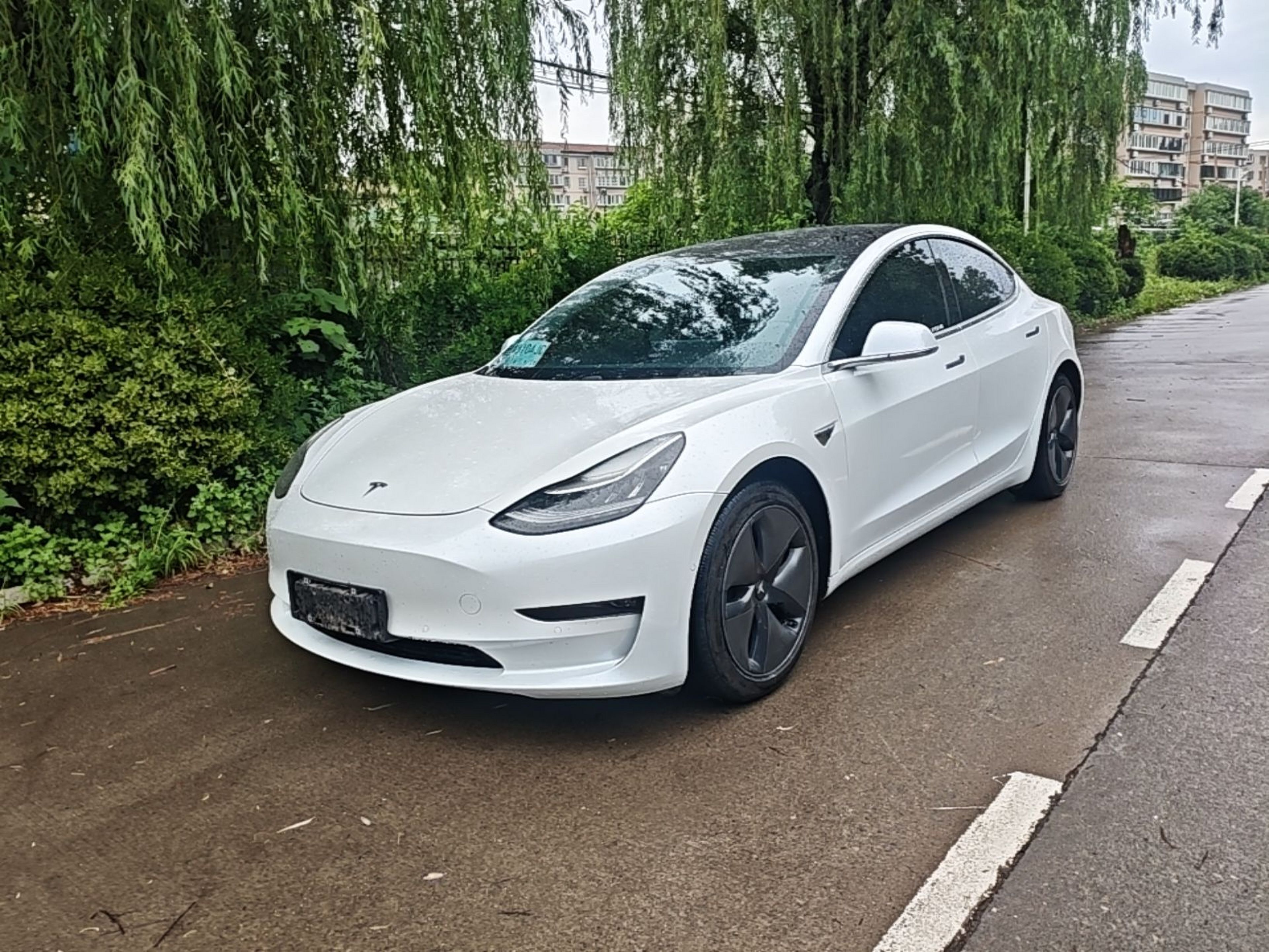 Under Front Bumper