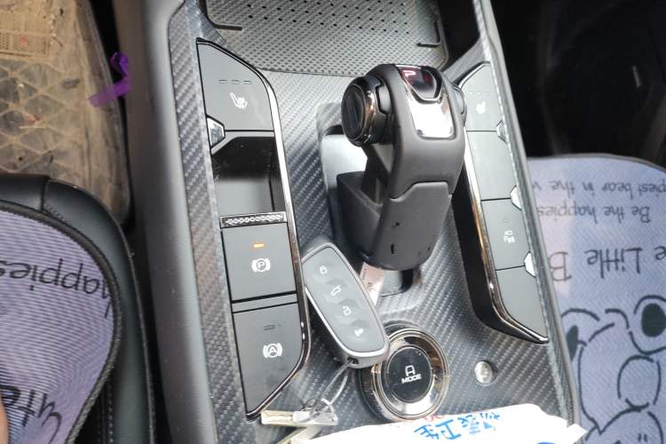 Used Haval Raptor New Energy 2023 Hi4 102 Exploration Edition Gear Lever