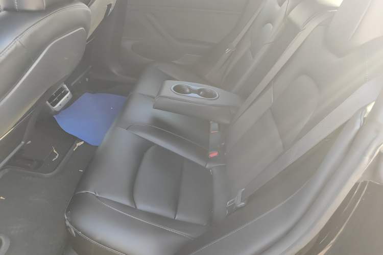 Used Tesla Model 3 2019 Standard Range Rear-Drive Upgraded Version