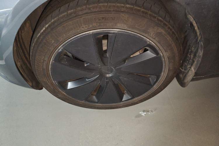 Used Tesla Model 3 2025 Rear-Wheel-Drive Version Exterior 4