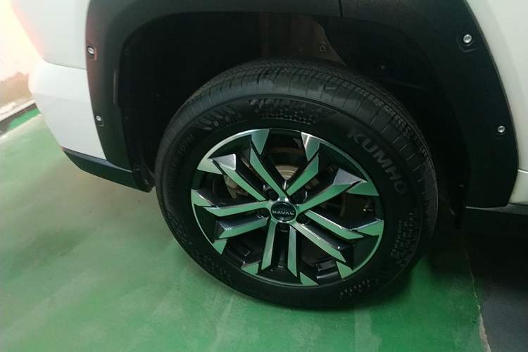 Used Haval H Dog 2023 2.0T Two-Wheel Drive Chaoye Version Plus