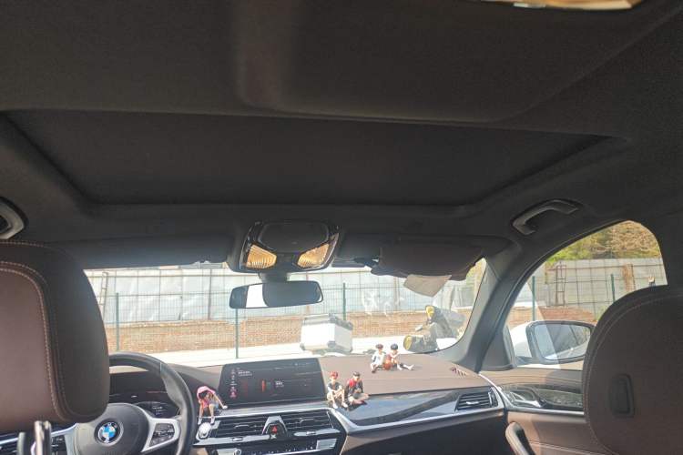 Used BMW 5 Series 2020 525Li M Sport Package Headliner