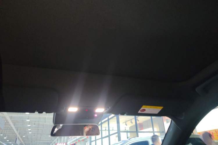 Used Li Auto L6 2025 Pro Smart Refresh Edition Headliner