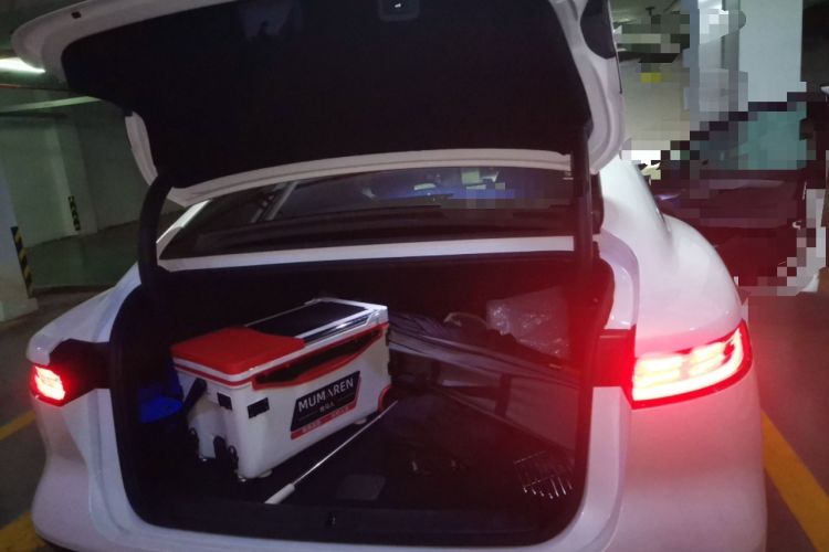 Used VOYAH PASSION 2023 Four-Wheel Drive Flagship Edition