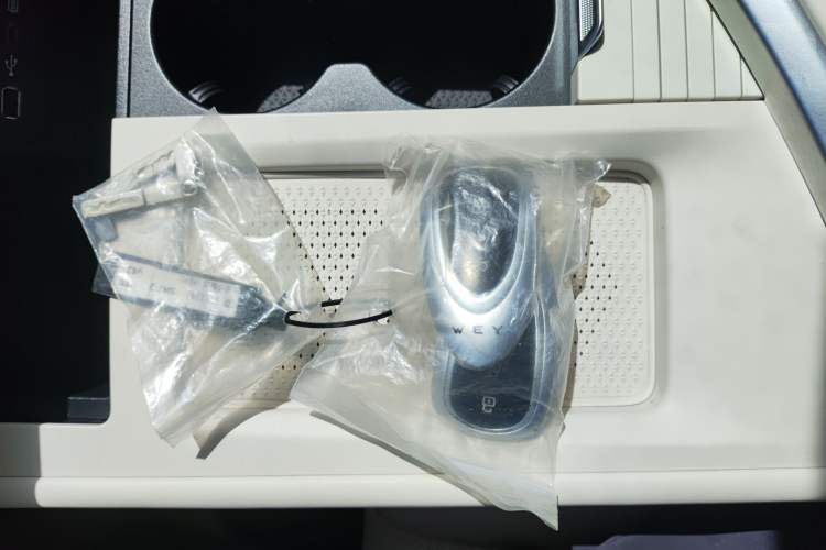 Used Wey Lanshan 2025 Four-Wheel Drive Max
