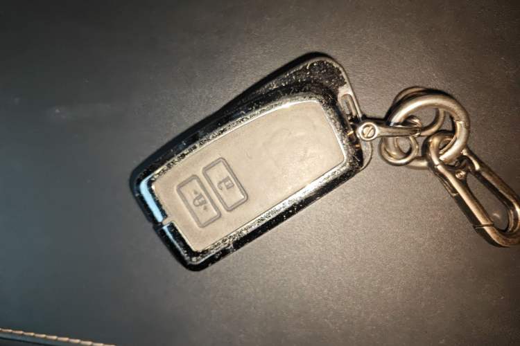 Used Lexus RX 2016 300 Two-Wheel Drive Comfort Edition China V Standard
