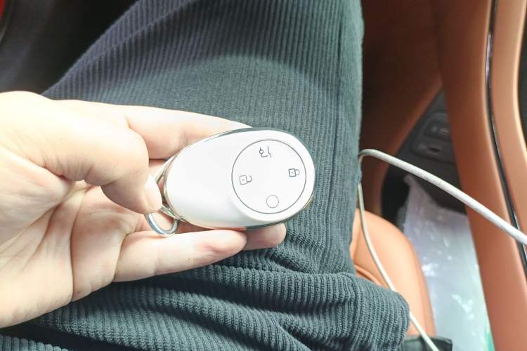 Used AION V 2024 Aion Tyrannosaurus 650 Smart Luxury Edition