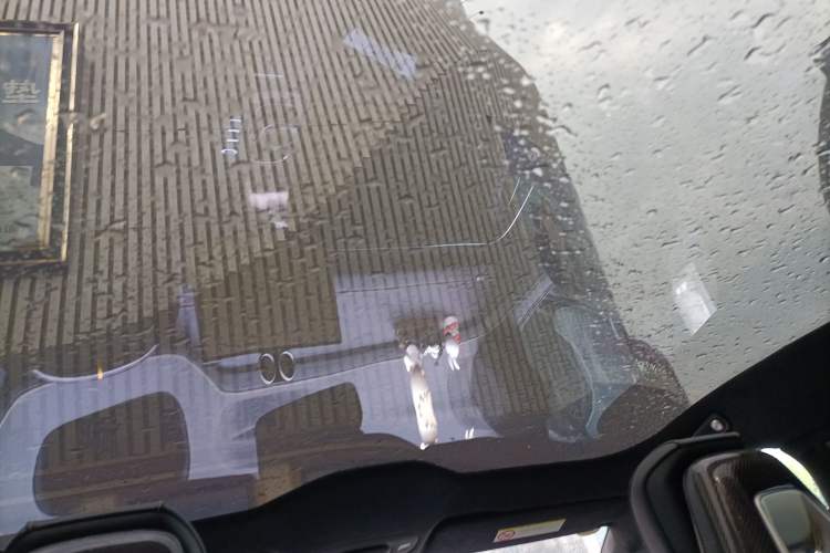 Used Xiaomi Auto SU7 Ultra 2025 Ultra Model Headliner