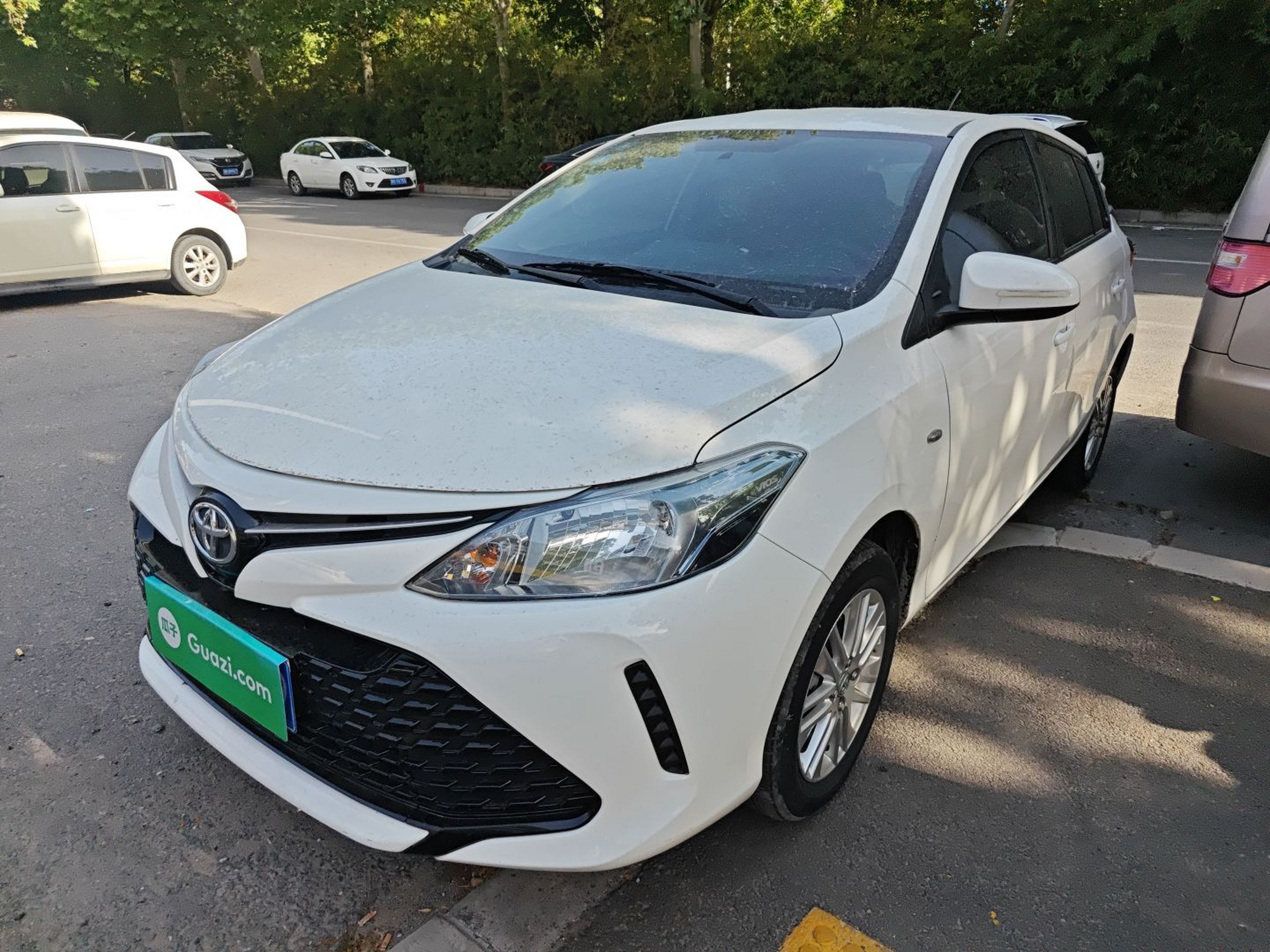 Parte inferior delantera