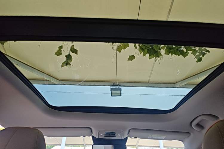 Used BYD Yuan PLUS 2023 Champion Edition 510KM Superior Model Headliner