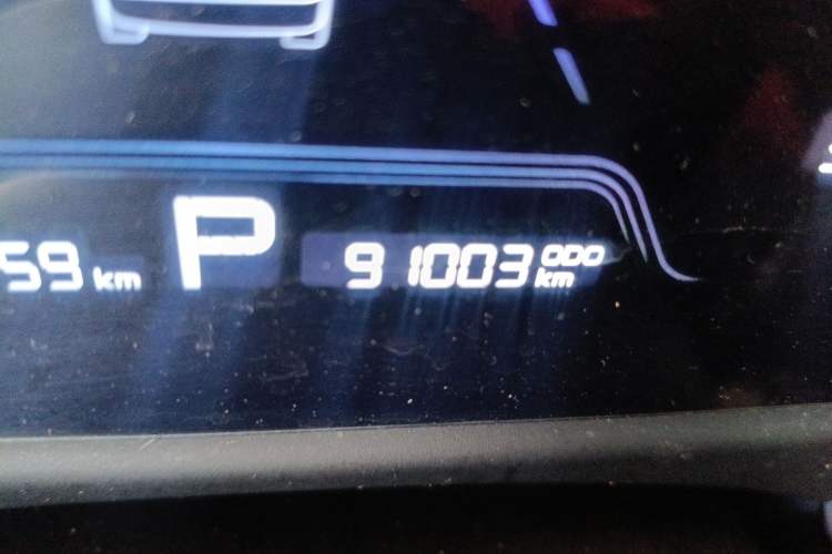 Used Geometry E 2022 320KM Cute Tiger 5-Seater Odometer Close Up