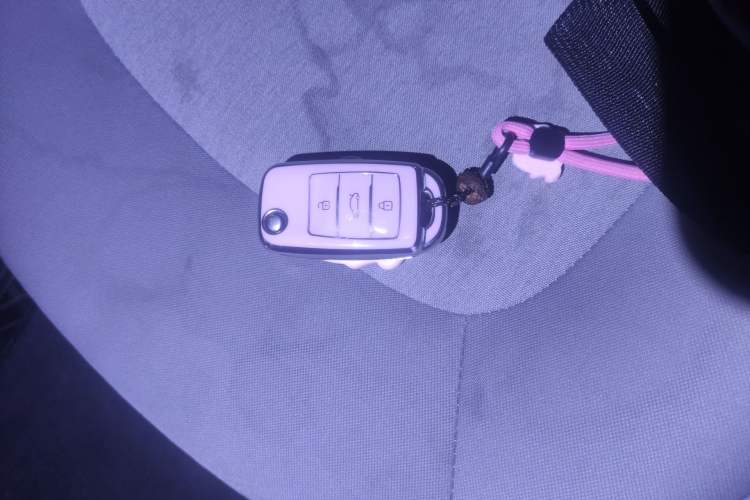 Used CHANGAN OSHAN Benni E-Star 2022 Charming Edition Colorful Model Lithium-Ion Battery
