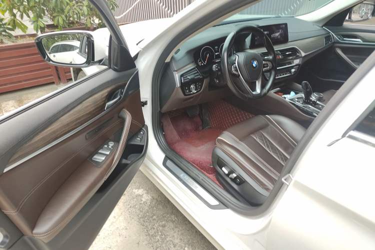 Used BMW 5 Series New Energy 2019 530Le Luxury Package