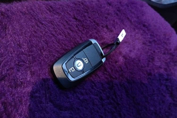 Used Ford Escape 2023 EcoBoost 245 Four-Wheel Drive ST-LINE Pro Trim