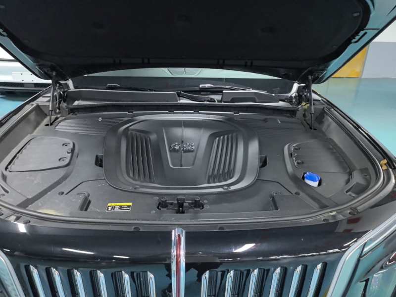 Used Hongqi E-HS9 2022 690 km Range Flagship Edition Six Seats — 19