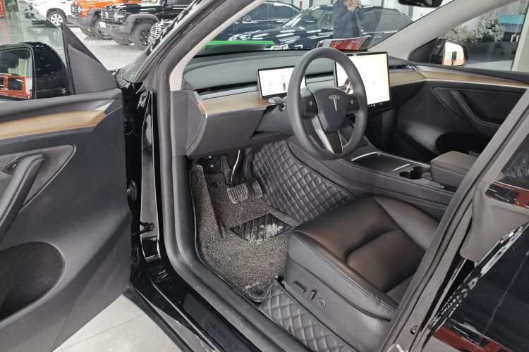 Used Tesla Model Y 2021 Standard Range Rear-Wheel Drive Version
