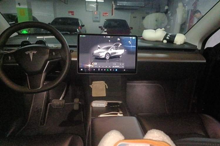 Used Tesla Model Y 2022 Revised Version Rear-Wheel Drive
