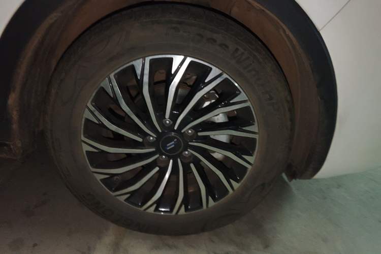 Used Oshan Cosmos 2022 1.5T Automatic Business Model