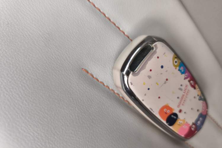 Used Geely Galaxy Panda 2023 Panda Mini 200km Endurance Bear Vehicle Key