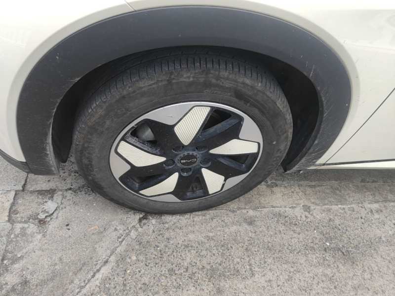 Used BYD Dolphin 2025 420km Fashion Edition — 22