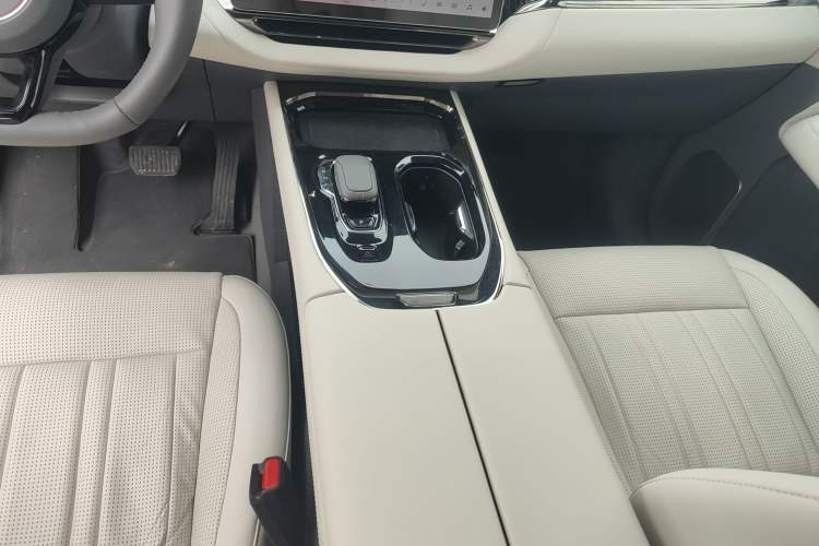 Used Zeekr 009 2022 WE Edition Gear Lever