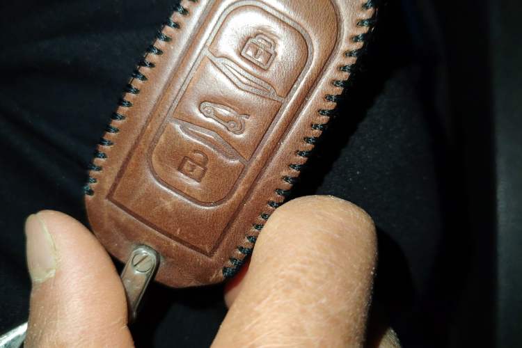 Used Geely Auto Emgrand New Energy 2017 EV300 Elite Model