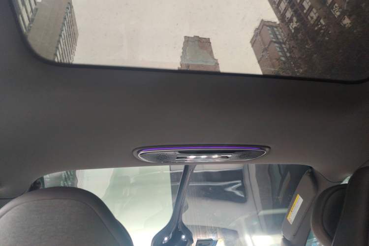 Used IM LS7 2023 90 kWh Elite Rear-Drive Version Headliner