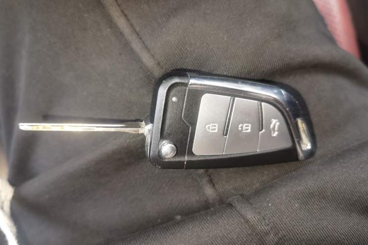 Used CHANGAN OSHAN Olisway EV 2018 EV model