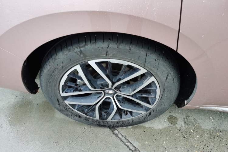 Used ORA Lightning Cat 2022 555 km Luxury Edition
