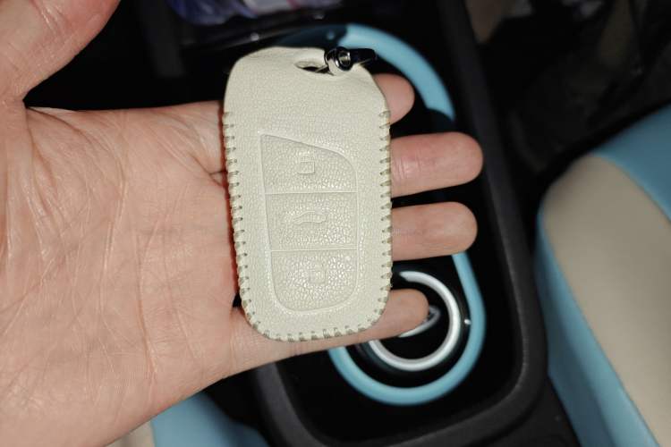 Used Chery QQ Little Ant 2021 200 000 Yuan "Ant Fan" Edition Energized Version NMC Lithium Battery 301 km